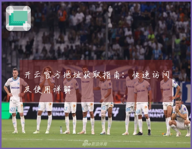 开云官方地址获取指南：快速访问及使用详解