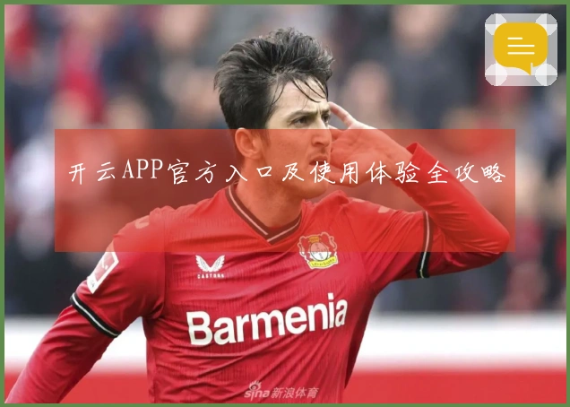 开云APP官方入口及使用体验全攻略