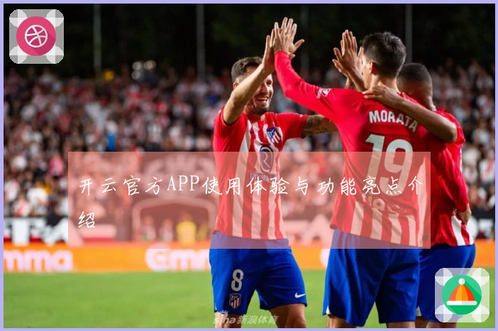 开云官方APP使用体验与功能亮点介绍