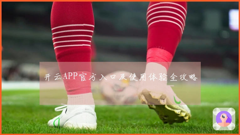 开云APP官方入口及使用体验全攻略